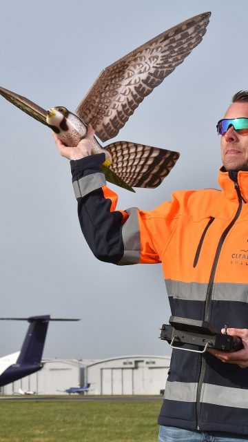 Drones para el control de aves 