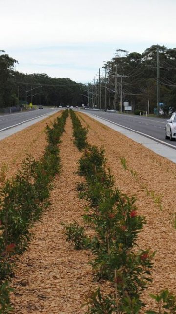 Nelson Bay Road Upgrade