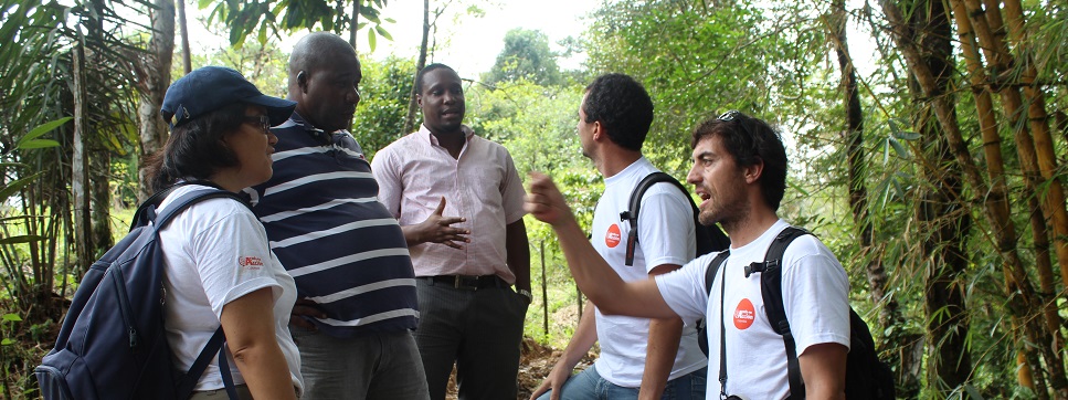 Voluntarios