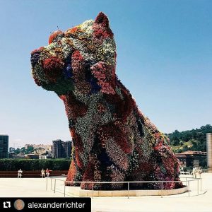 The Guggenheim Puppy by @alexanderrichter