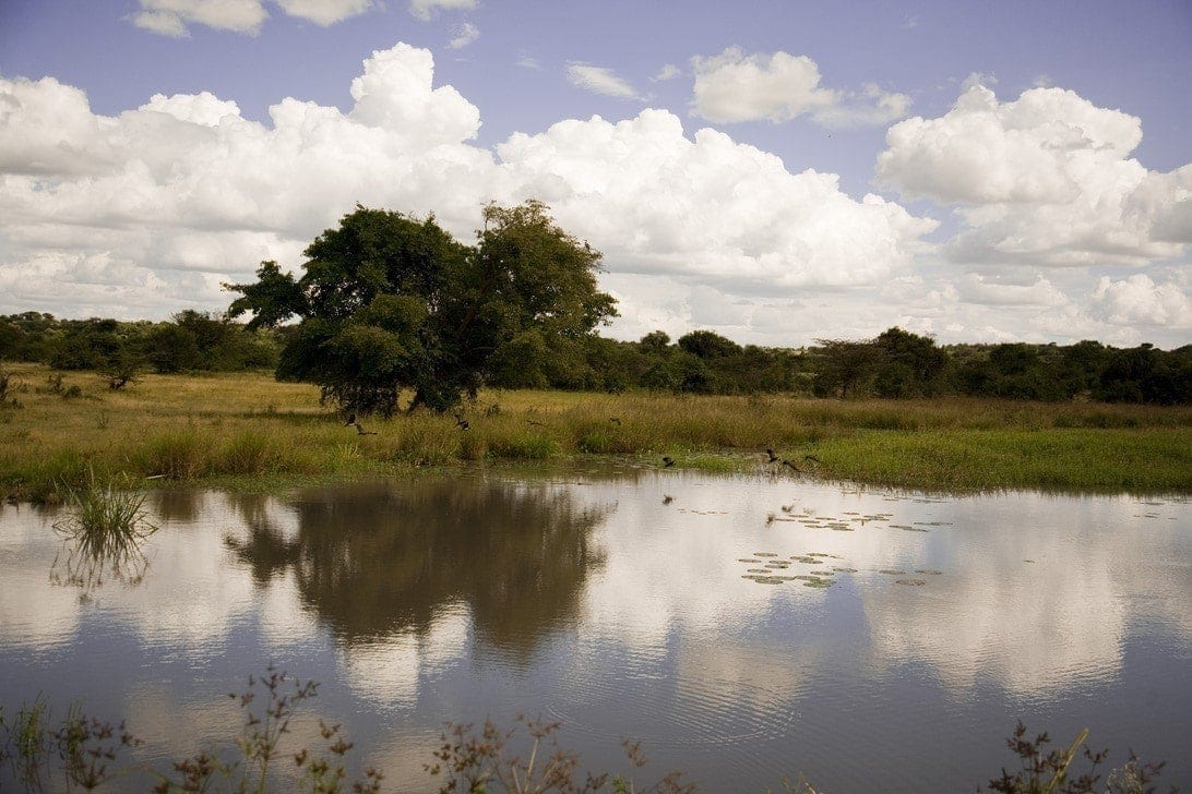 La Huella de Carbono porque es importante