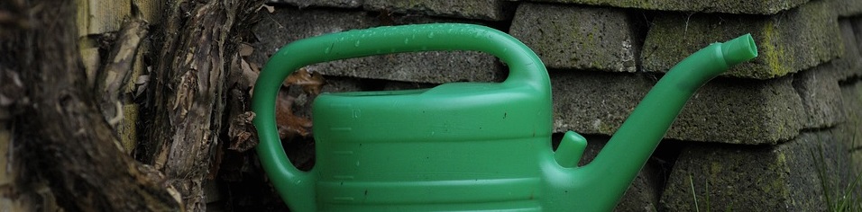 watering can save water save money