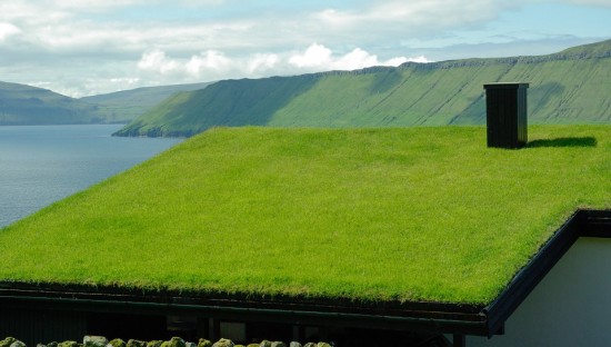 Grass roof house