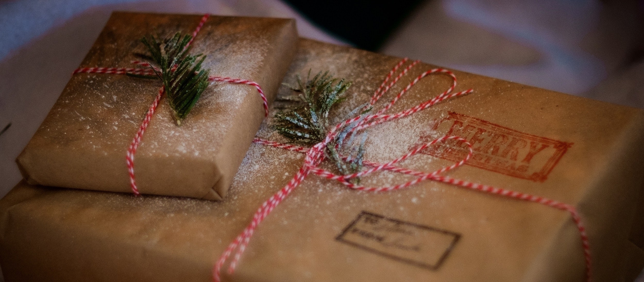 Sustainable christmas gifts