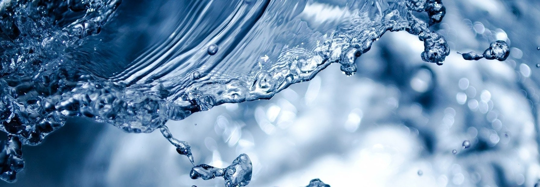 Dia mundial de agua