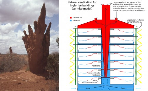 Biomimetic design termite mounds