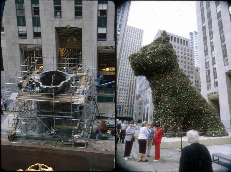 Everything about Puppy, the flower statue guarding the