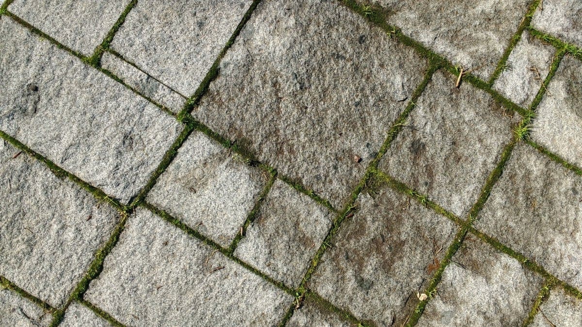 Imagen de una calzada romana de piedra y césped