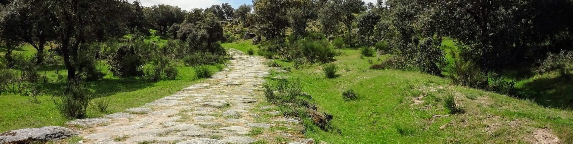 Image of a Roman road with stone and grass