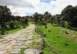 Image of a Roman road with stone and grass