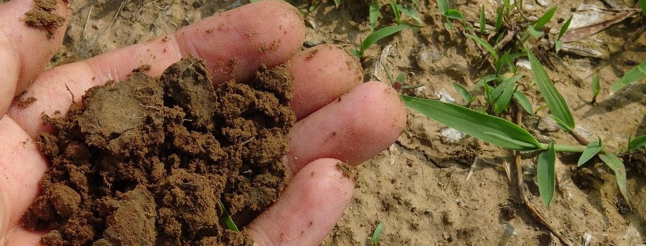 Imagen de tierra con fertilizantes