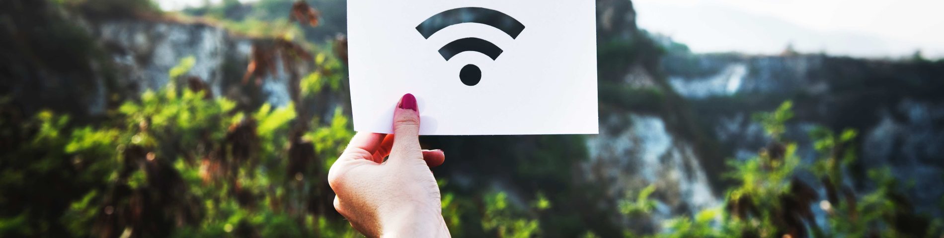 icono de Internet con un fondo de la naturaleza