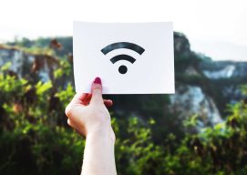 icono de Internet con un fondo de la naturaleza