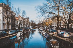 El casco antiguo de Ámsterdam se levanta sobre 11 millones de pilotes de madera. 