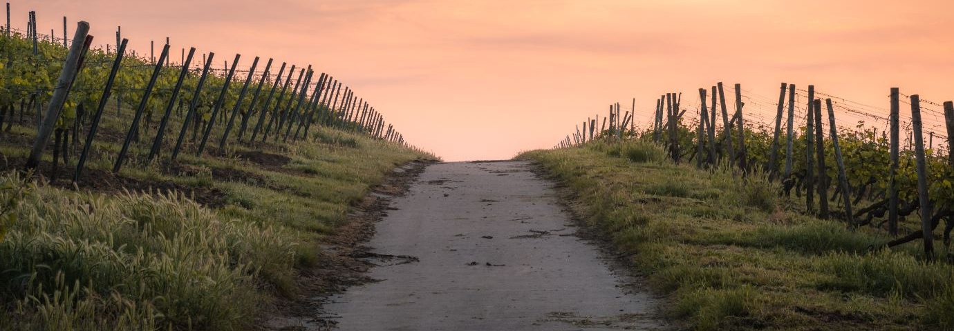 caminos juego de tronos