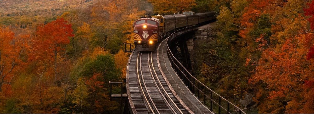 Image of a train driving straight on a track