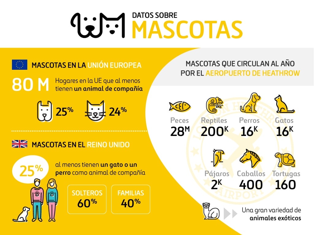 Infografía Mascotas