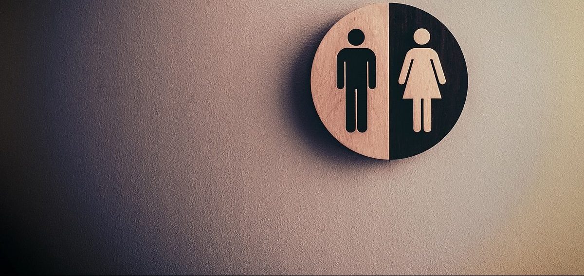 Distinto wc de mujeres y hombres