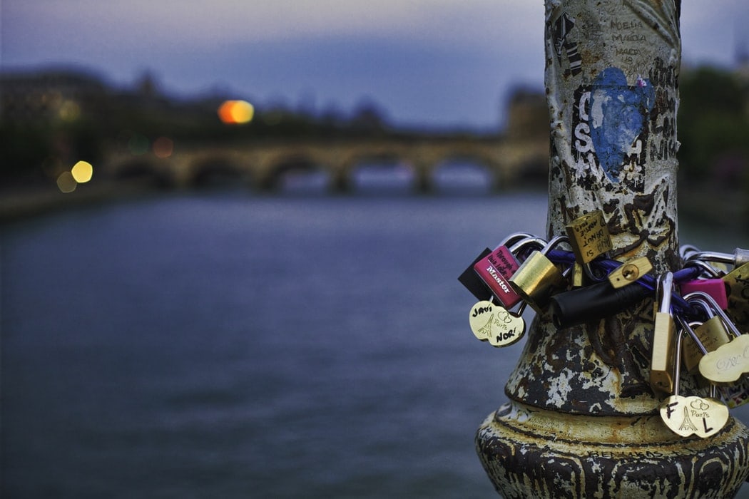 Pont des arts and the love locks 