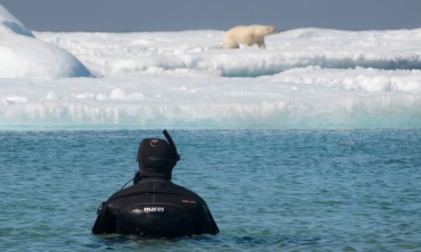 diving in the arctic