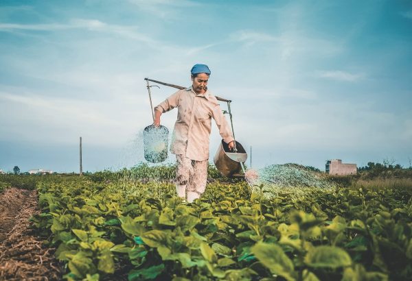 woman farmer watering