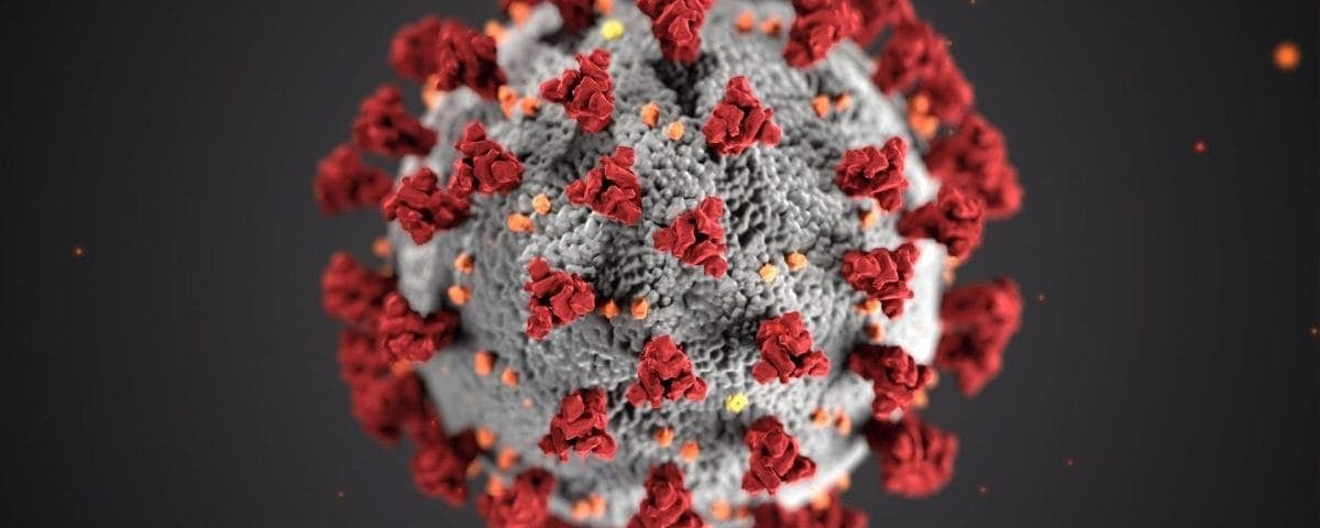 imagen de coronavirus