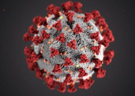 imagen de coronavirus
