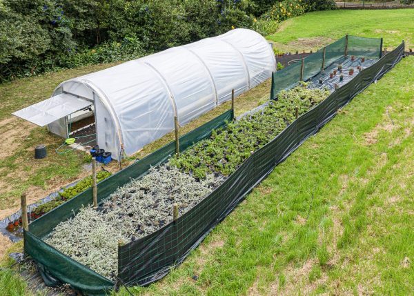 The greenhouses are built out of damaged road barriers