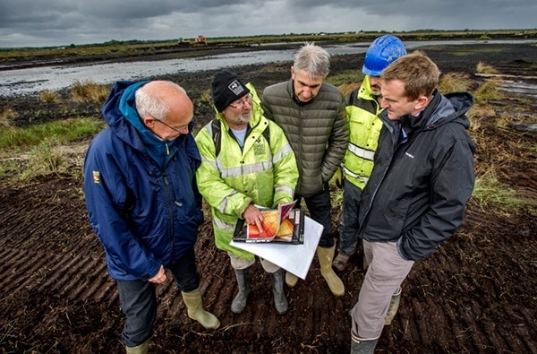 restoration of peatland 