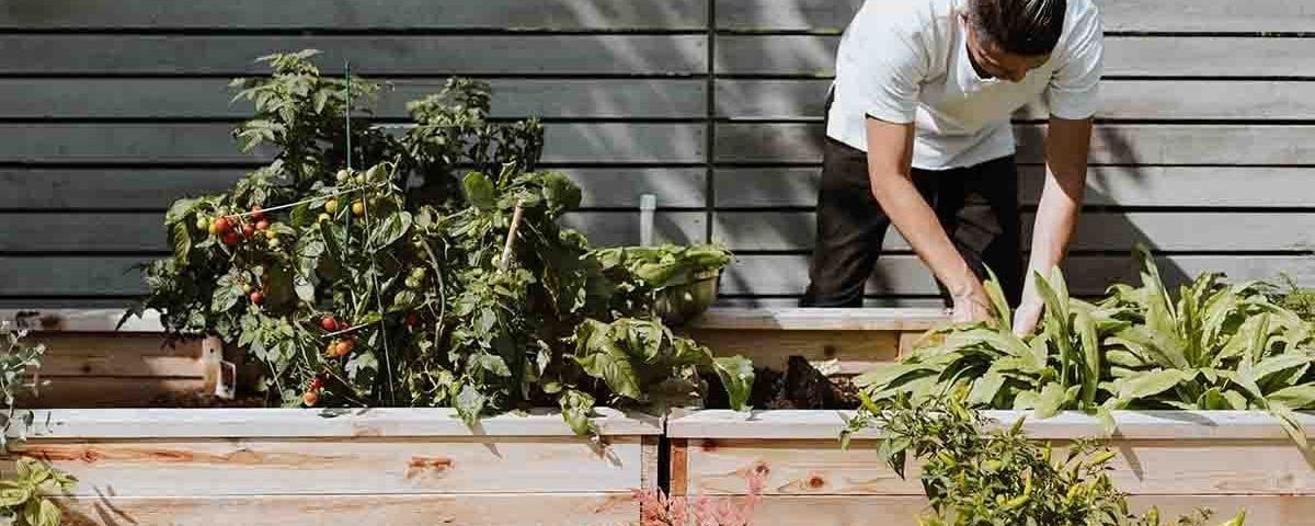 Garden on a Balcony