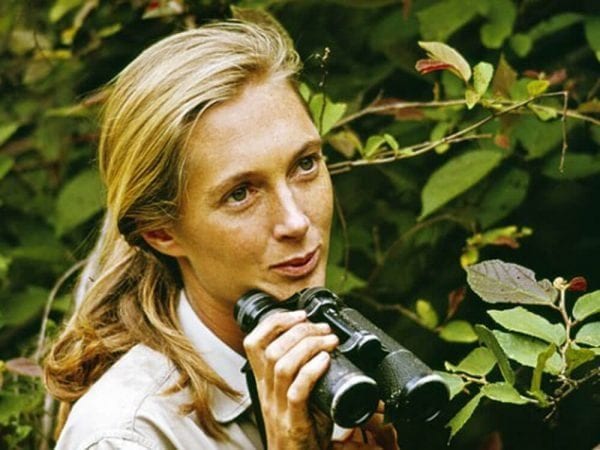 JANE GOODALL