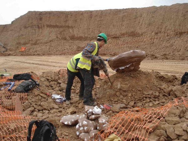 paleontological excavation