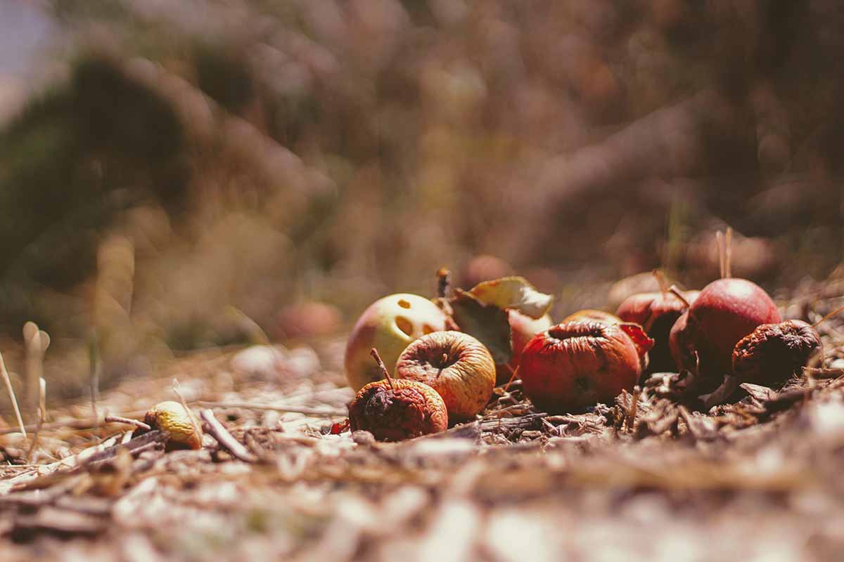 composting