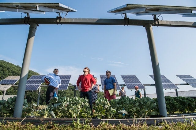 People looking at solar panels