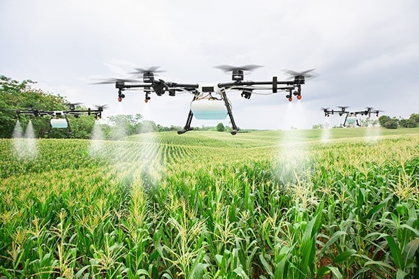 Drones rociando fertilizante
