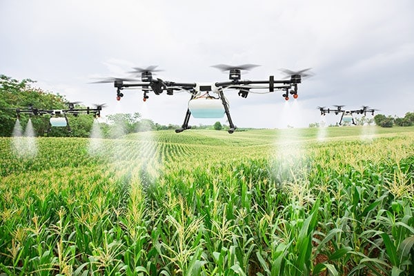 Agriculture drone fly to sprayed fertilizer