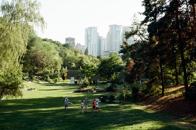 niños jugando en el parque