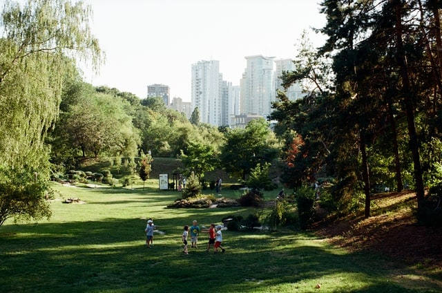 children playing in the park