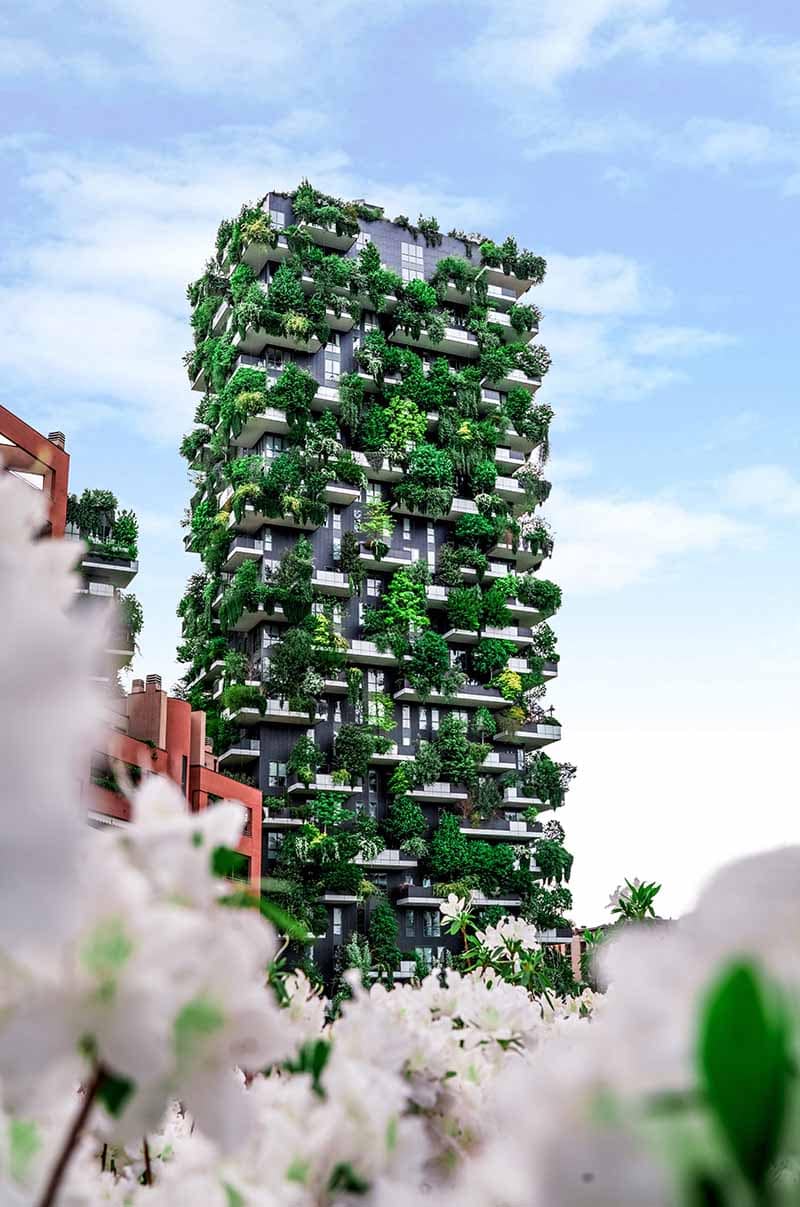 Image of the Vertical Forest in Milan