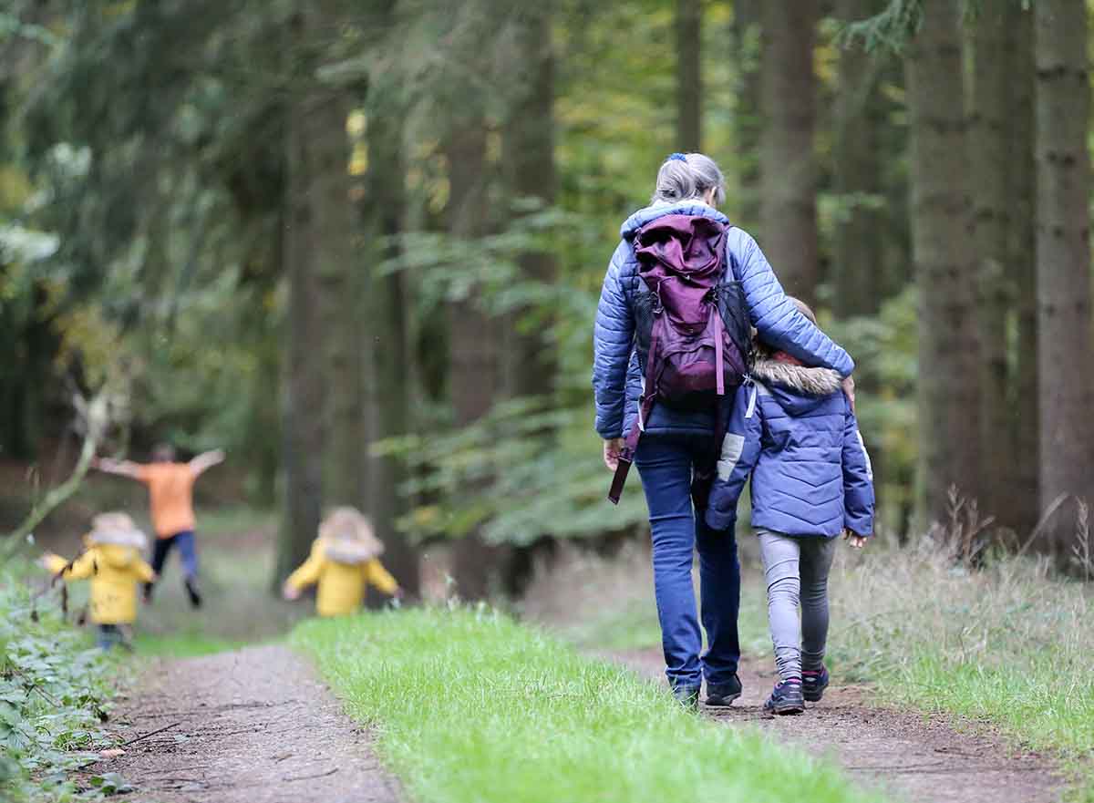 Family walking in the forest