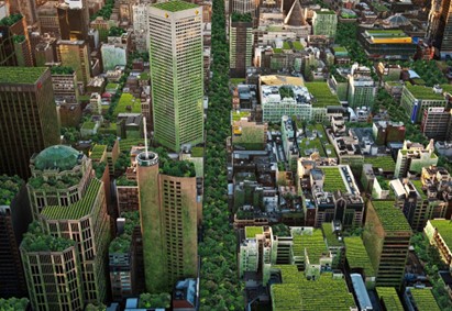 Melbourne y la Estrategia de Bosque Urbano