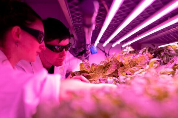 Indoor farming in a controlled environment