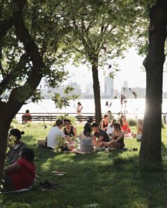 Groups of friends sitting in the shade of trees.