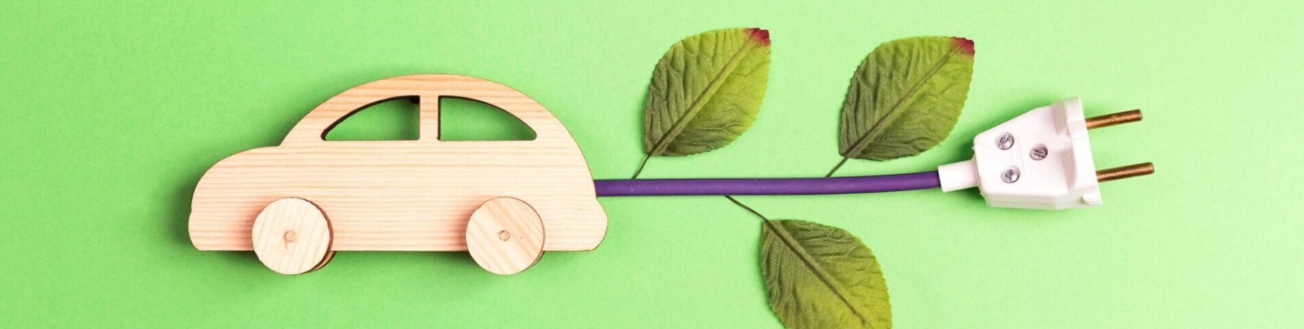 wooden car with a plug and some tree leaves