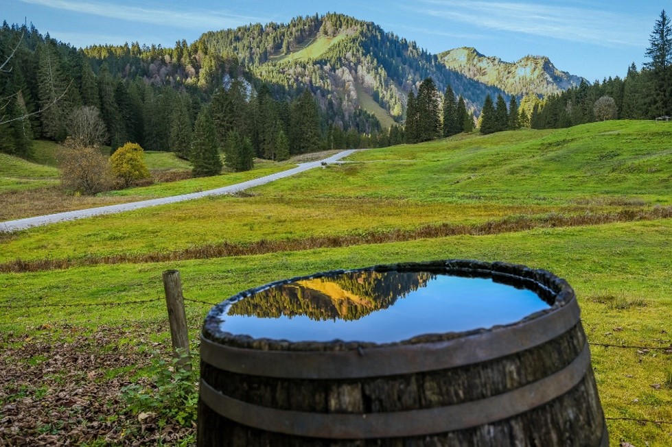Un barril de agua de lluvia en un campo verde