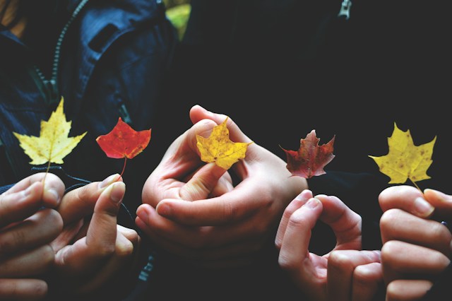 A close-up photo of people holding leaves of multiple colors.
