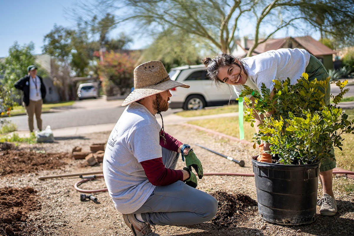 Actividades para reverdecer la ciudad de Phoenix