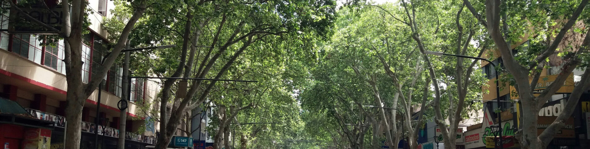 Calle de Mendoza, Argentina