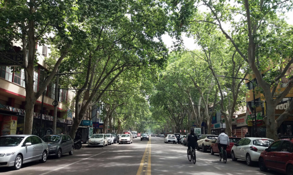 Calle de Mendoza, Argentina