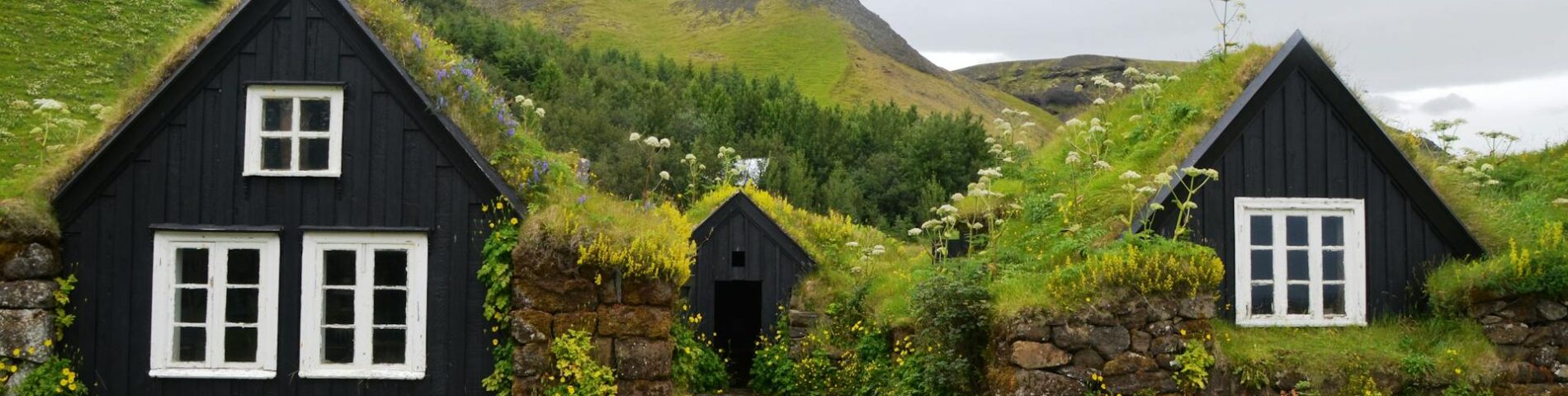 Casas con vegetación en los tejados